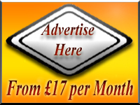 Advertise Here