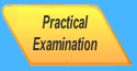 Practical Examination