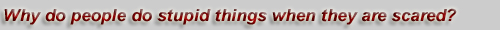 Why do people do stupid things when they are scared?